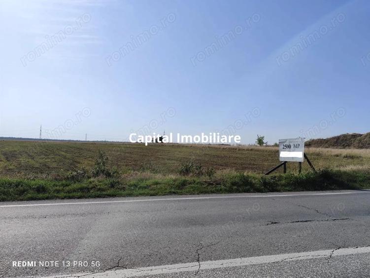 Teren agricol 2500 mp, Cocorastii Colt - 5