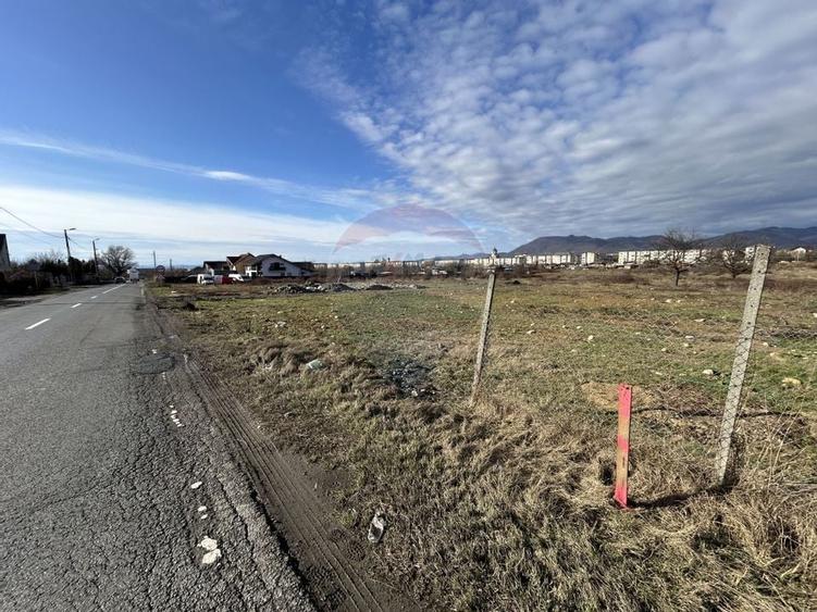 Teren 1,330mp Baia Mare / Strada Dumbravei cu drum de 7m si PUZ - 2