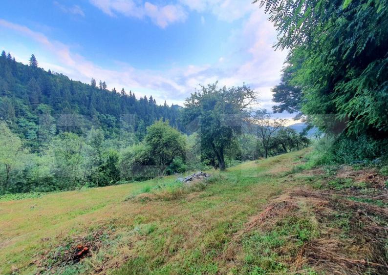 Teren intravilan, 31 ari, Ilva Mica, zona montana - 8