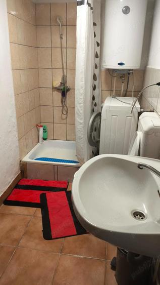 Casa de vacanta la Periam port - 4