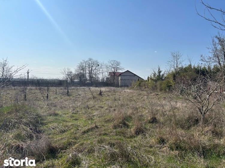 Vadu Corbu Teren superb 1000 mp investitie sau casa de vacanta - 4