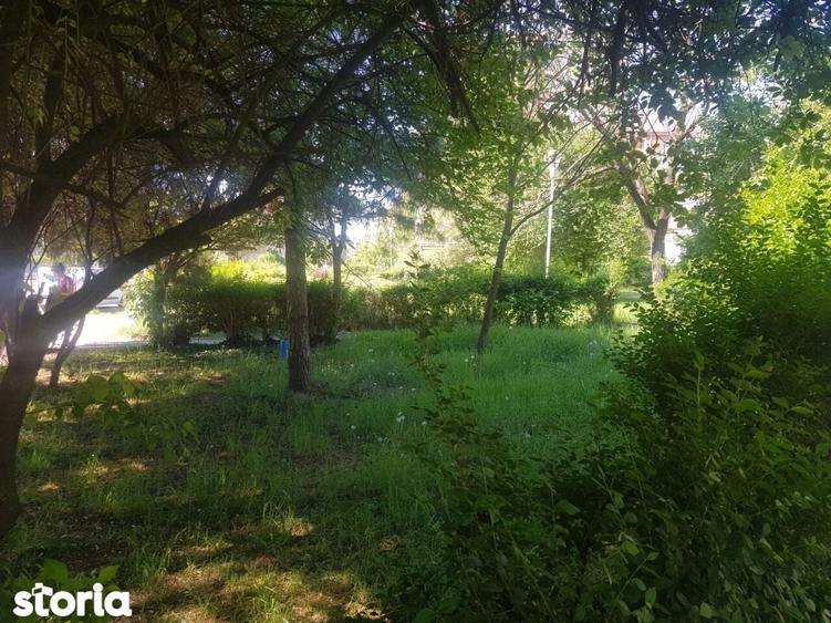 Teren intravilan 719 m.p Timisoara, Bv. Take Ionescu 59 - 4