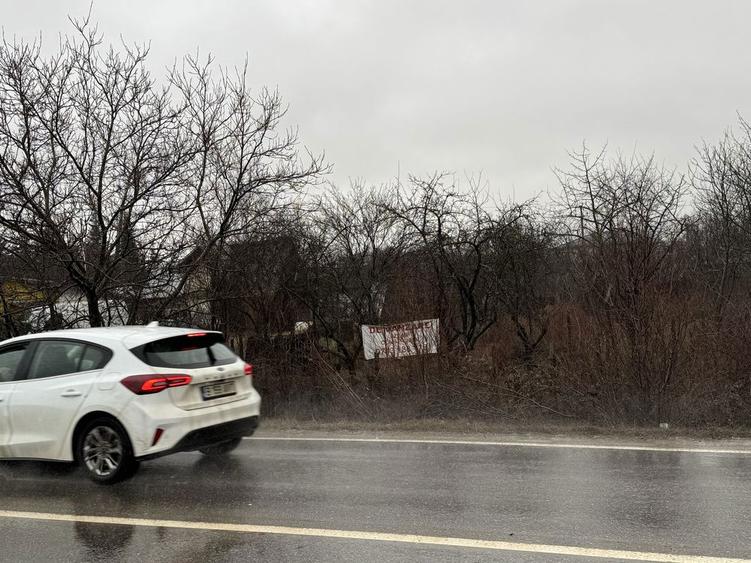 Vand teren Mitica Apostol, Cartier Ploiesti-Vest - 4