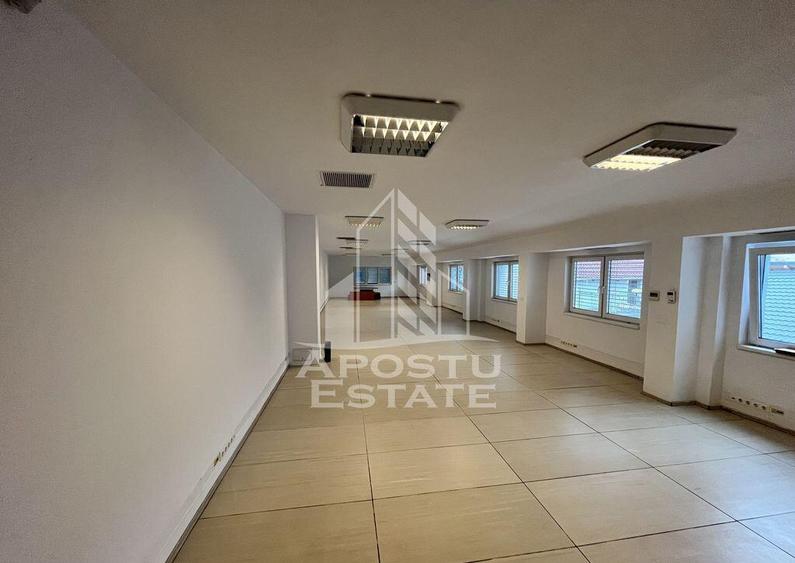 Imobil de vanzare P+M, 173 mp utili, Elisabetin. - 12