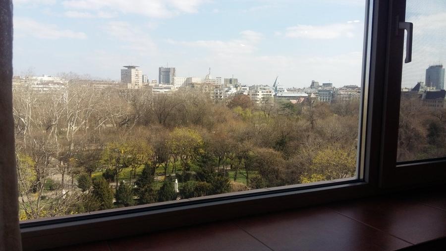 Schitu Magureanu, Parcul Cismigiu, apartament 2 camere mobilat - 4