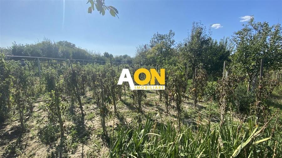 Casa Individuala Renovata cu 1600mp Teren - 3