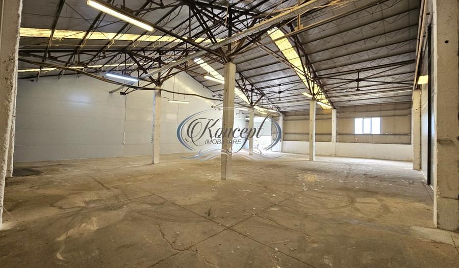 Hale 200-400-1.000 mp, productie, depozitare, logistica - 10
