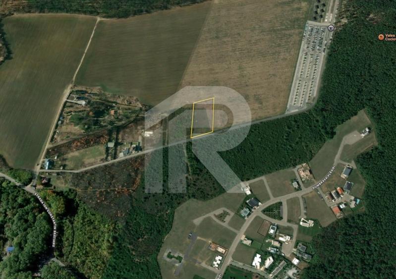 BALOTESTI - EDENLAND -  ideal investitie - Teren 5.254 mp, lângă pădure - 1