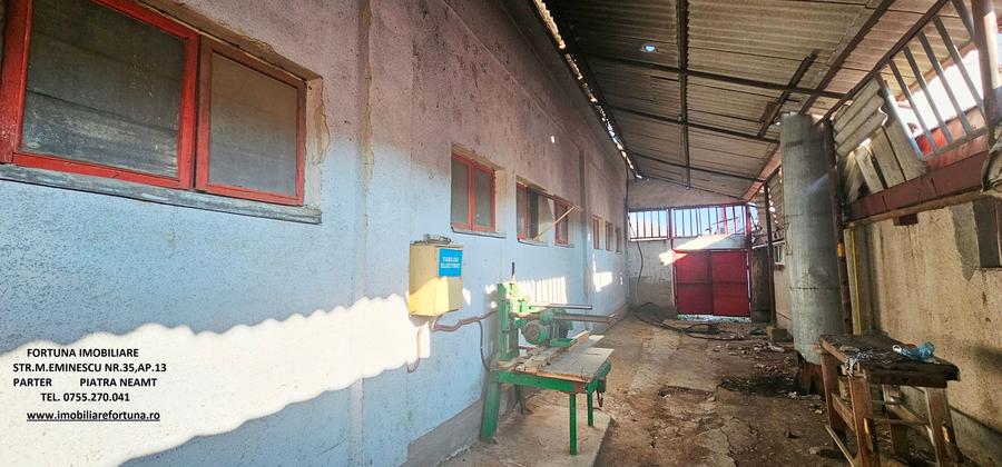 Hala si teren , Piatra Neamt - 4