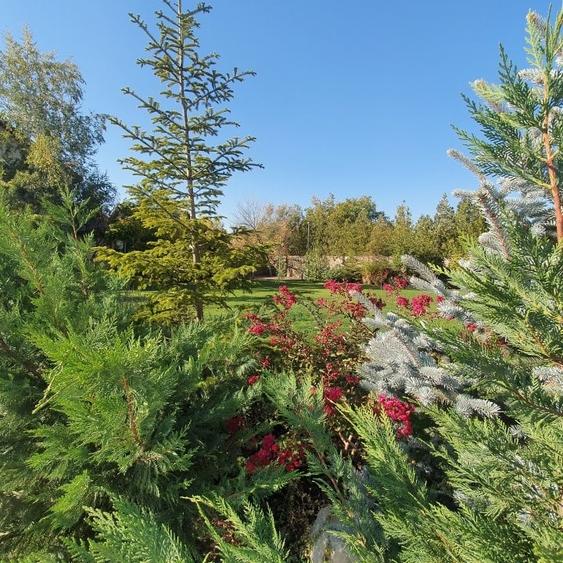 Vila de Lux în Pipera – Ideală pentru Hotel, Școală, Grădiniță sau Reședință - 5