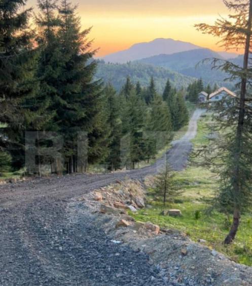 Teren extravilan cu priveliste - Tihuta Cota 1.201 - 3