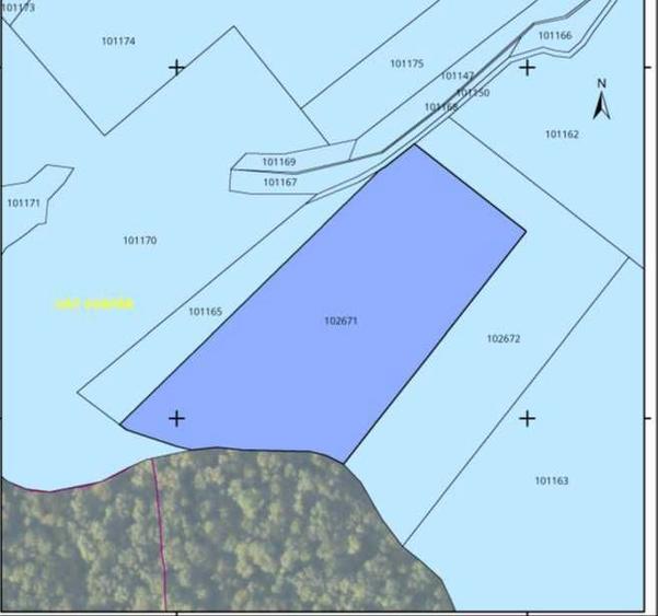 Teren extravilan agricol arabil 19501 mp de vanzare Vurpar, Sibiu - 1