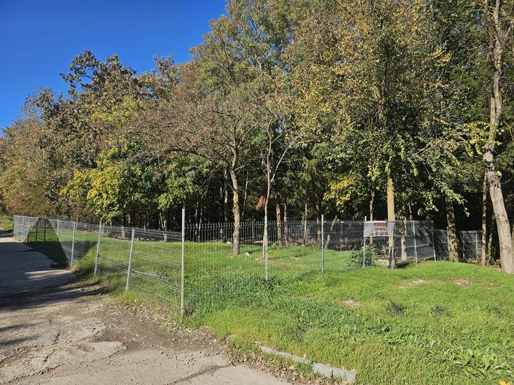 Mangalia, str Ferdinand nr 32, Jupiter - 2