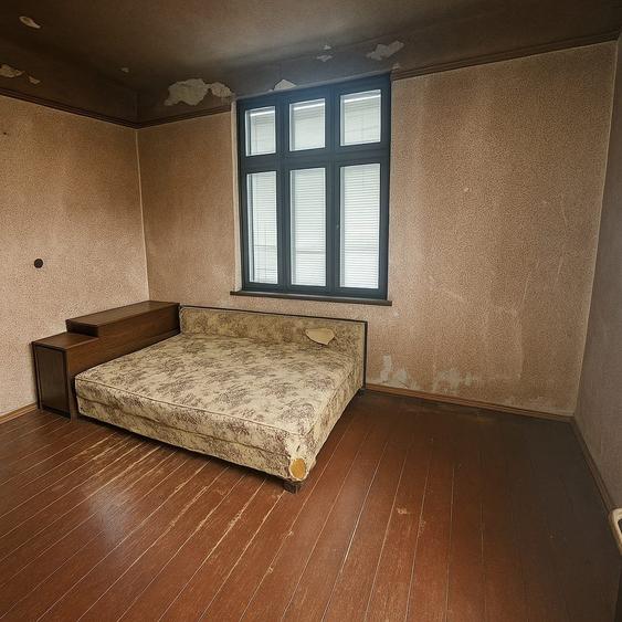 Casă interbelică cu dublu potențial – Zona Cantacuzino, Ploiești - 26