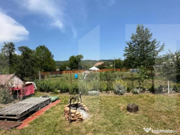 Casa taraneasca in inima naturii - 4