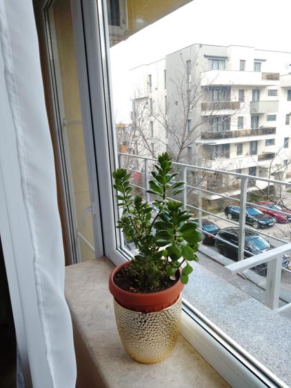 Garsoniera spatioasa 56 mp  - zona Tomis Plus - 350 euro/luna(Cod E2+E7) - 7