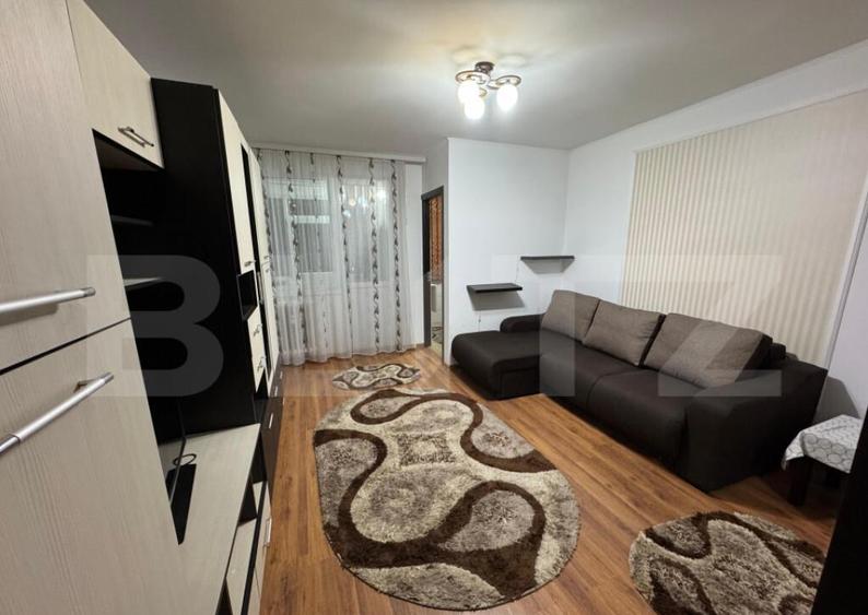 Garsoniera de inchiriat, 32mp, Brazda lui Novac - 3