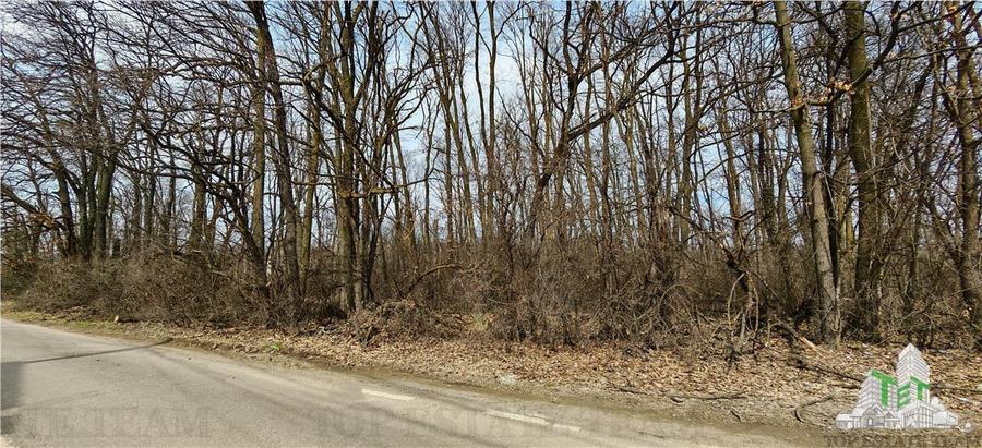 Teren / Padure in Corbeanca - Radarului - 1