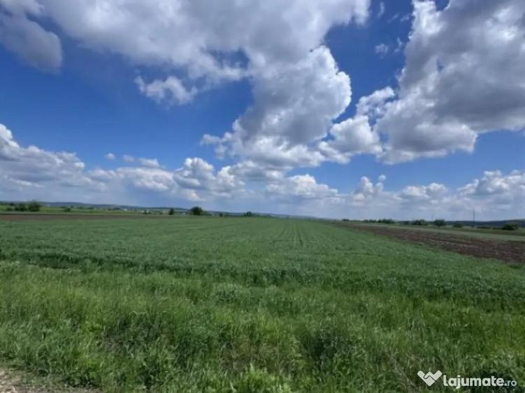 Teren extravilan, 1 hectar, Volovat - 1