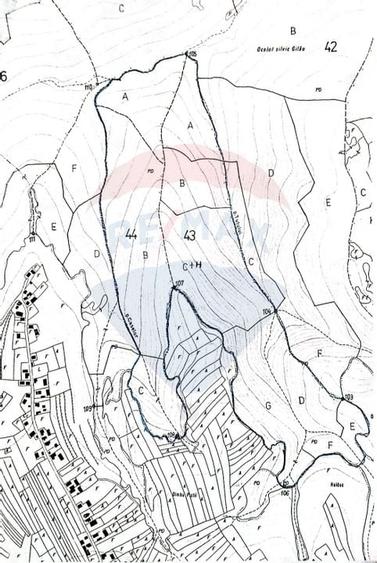 Padure 34 ha Capusu Mare - 4
