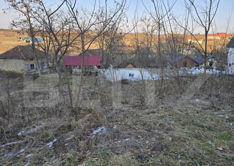 Teren intravilan 7.9 ha. Sandra - 32