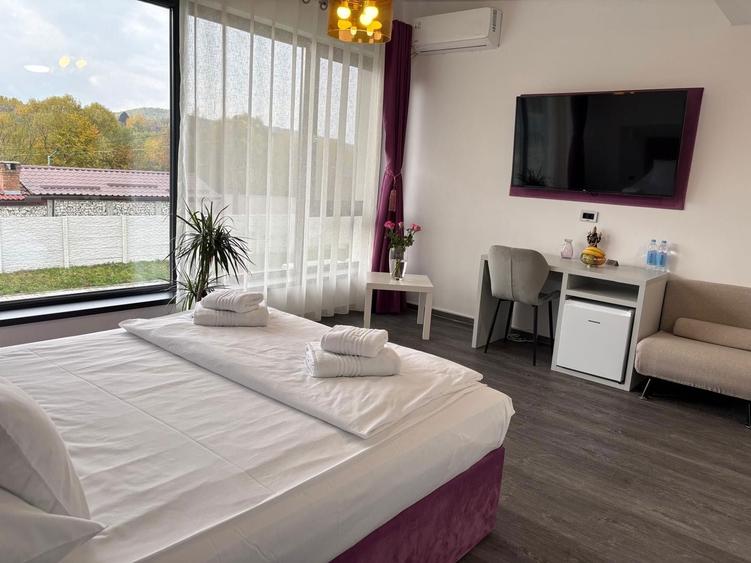 Pensiune de Vanzare Valea Avrigului-Sibiu - 4