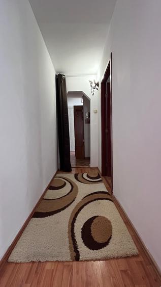 Apartament 3 Camere Decomandat Alexandru Cel Bun - cod 5263 - 8