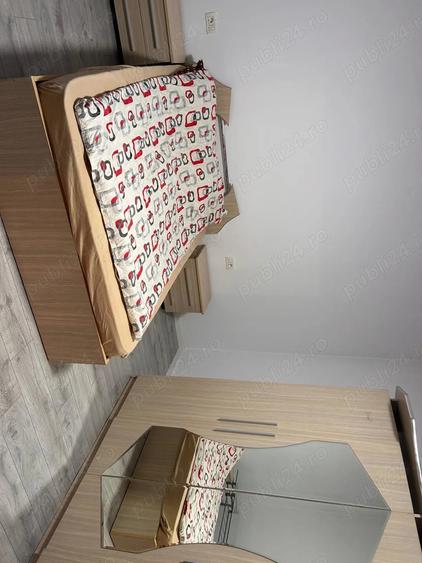 De vanzare proprietate cu doua case in aceea?i curte stil bana?ean + Teren BONUS - 7