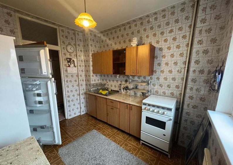 2 Camere Campia Libertatii Pet friendly - 9