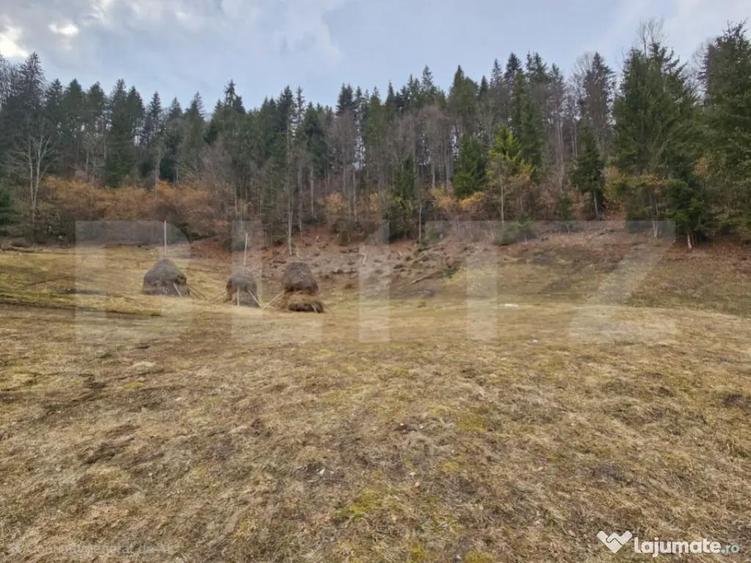 Teren extravilan 11.480 mp cu poten?ial intravilan Tra - 5