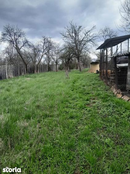 Teren de vanzare in Vaidei - 3