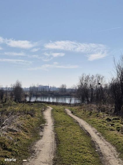 Trestieni - Ulmi, vanzare teren 1.663mp, intravilan - 13