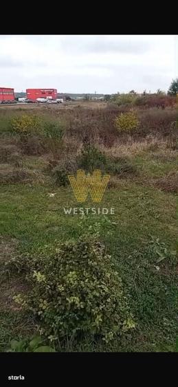 Teren intravilan de vanzare, Calea Lugojului - 4