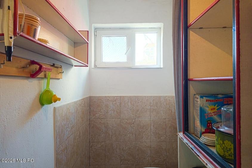 Lunei - Ion Neculce, 2 Apartamente. Mansarda 157 mp. Anexe, Lot 475 mp - 41