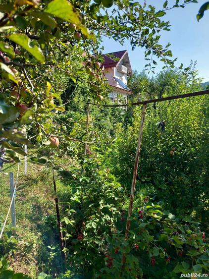 Casa la munte Cerasu - 3