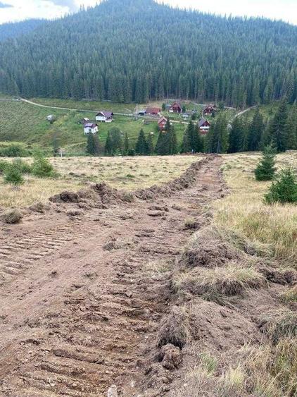 Teren extravilan Poiana Horea - 3