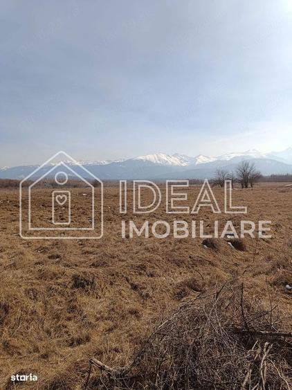 Teren 25.500 mp Valea Avrigului - 1