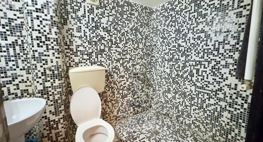 Apartament 4 camere Vasile Lascar - 3