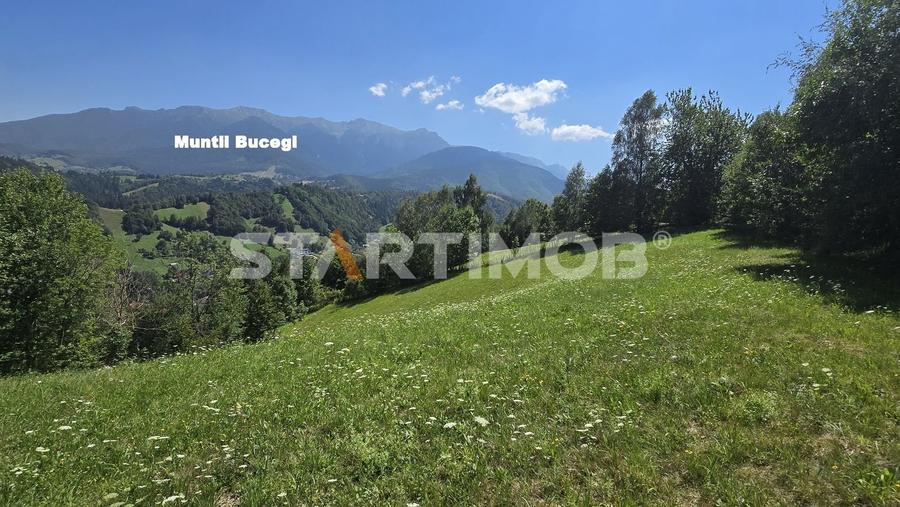 Teren extravilan Bran Podul Simonului - 11