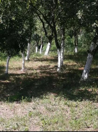 Vand casa si teren - 2
