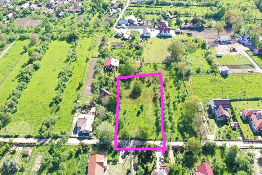Teren intravilan de vanzare in Brebu (zona foarte linistita) - 7