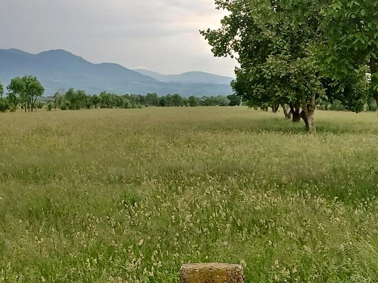 Teren intravilan Rasnov - 9