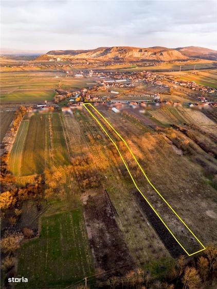 RECO Teren intravilan pentru loc de casa 5342 mp- sat.Hotar - 3