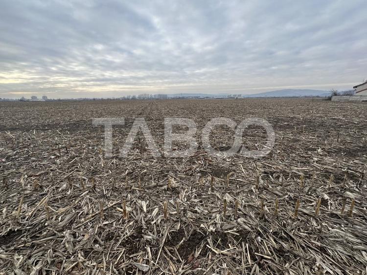 Teren intravilan 5800 mp cu potential de investitie - 2