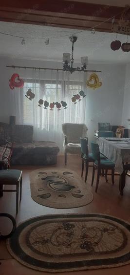 Casa cu curte mare ?i vie pe spalieri - 8