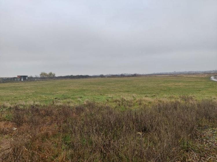 Teren 4588 mp, Remetea Mare Comision 0% - 5