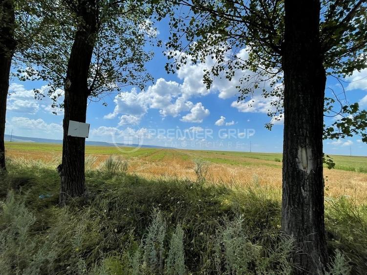 Teren 7.000mp, Miroslava - Liliac - 3