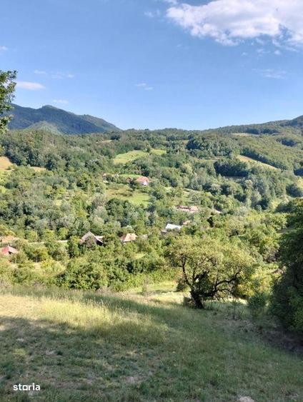 Teren generos de 70290 mp, 5045 mp intravilan, Poiana Ampoiului, Metes - 3