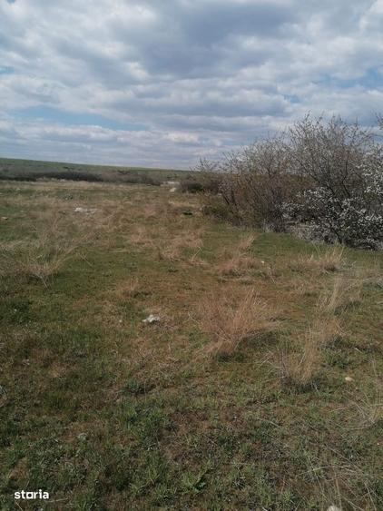 Vanzare teren 47.035mp - Comuna Plesoiu, Sat Arcesti - 1