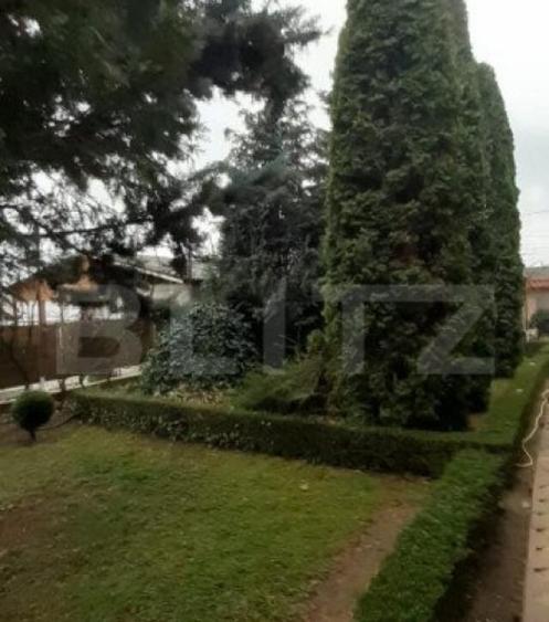 Vila 6 camere, Pucioasa - 8